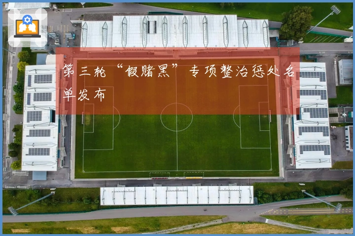 第三轮“假赌黑”专项整治惩处名单发布